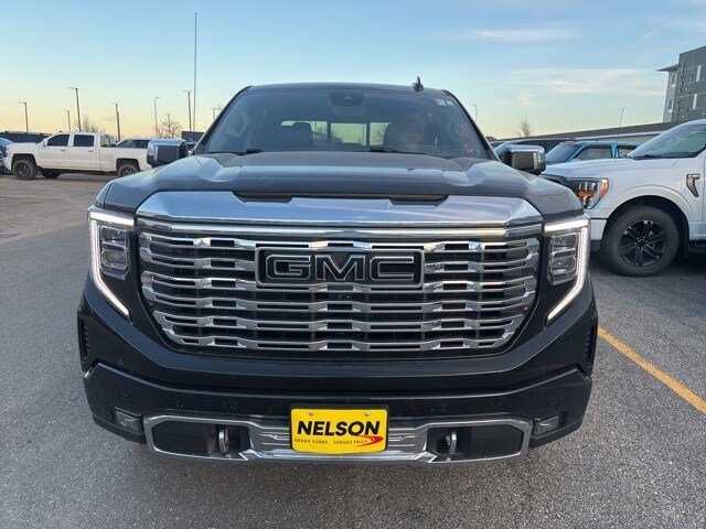 2023 Gmc Sierra 1500 Denali photo 2