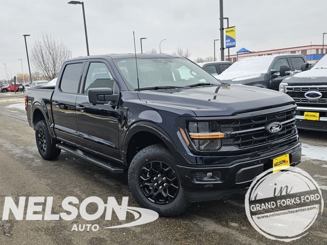 2025 Ford F-150 XLT's photo