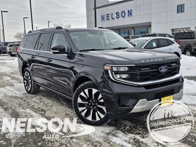 2025 Ford Expedition Platinum's photo