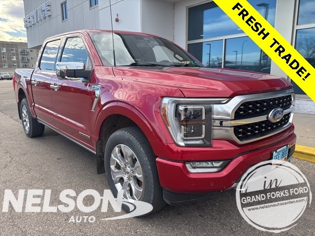 2022 Ford F-150 Platinum's photo