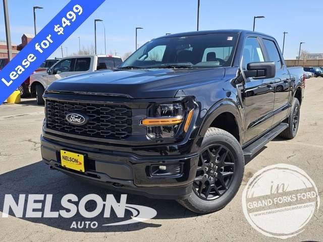 2025 Ford F-150 STX's photo