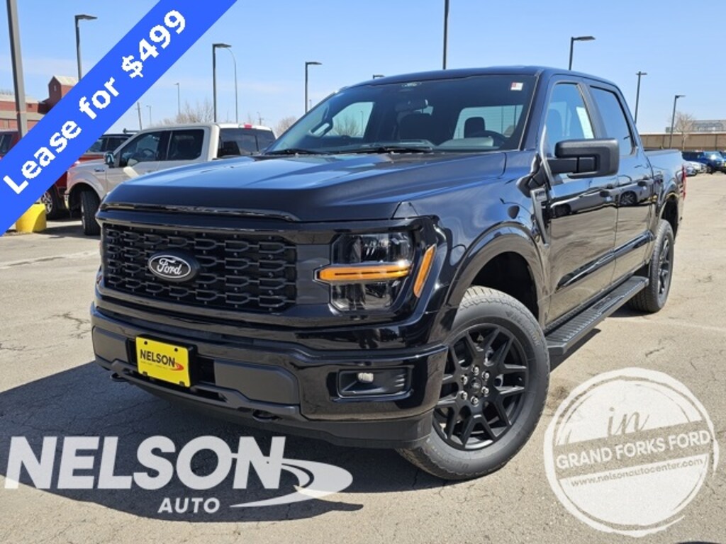 New 2025 Ford F-150 STX Truck