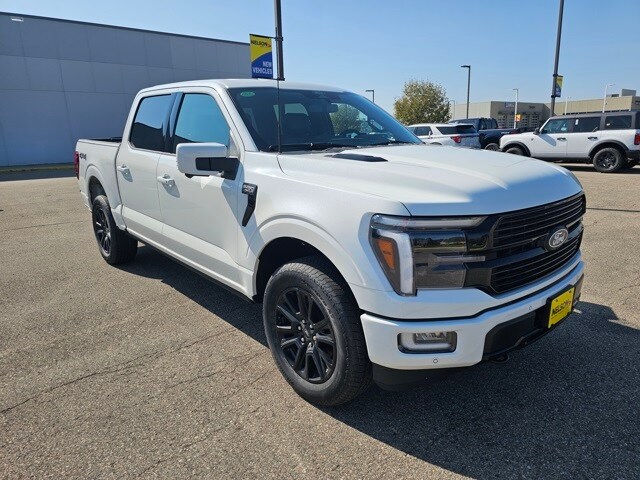 2025 Ford F-150 Platinum photo 4