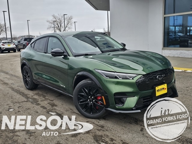 2025 Ford Mustang Mach-E Premium AWD's photo