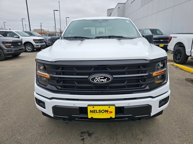 2025 Ford F-150 XLT photo 3