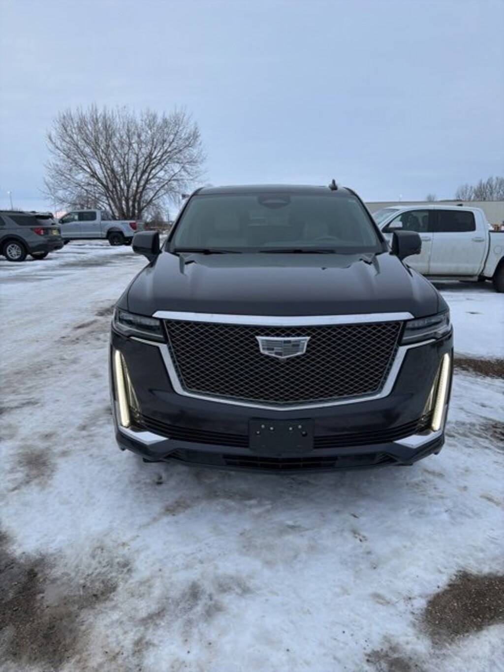 Used 2022 CADILLAC Escalade Premium Luxury Platinum SUV