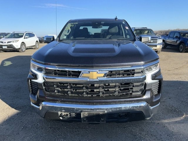 Used 2023 Chevrolet Silverado 1500 LT with VIN 1GCUDDED1PZ314190 for sale in Fergus Falls, Minnesota