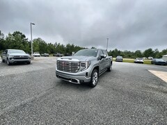 2025 GMC Sierra 1500 Denali Truck