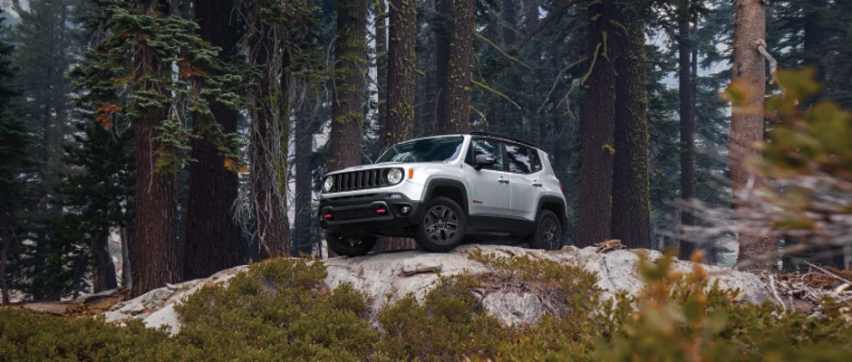 A Jeep Renegade parked in the forest