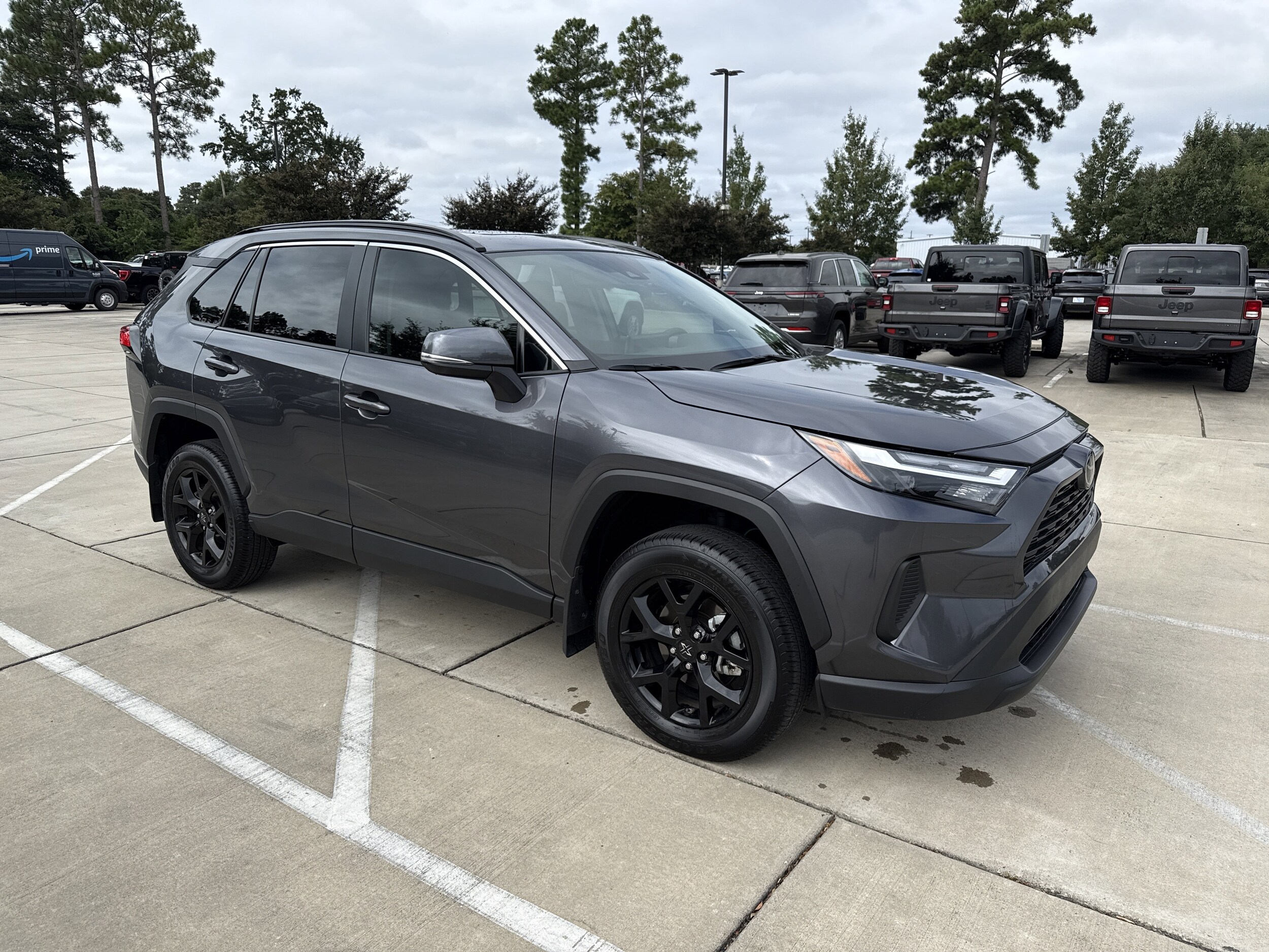2025 Toyota RAV4 XLE photo 2