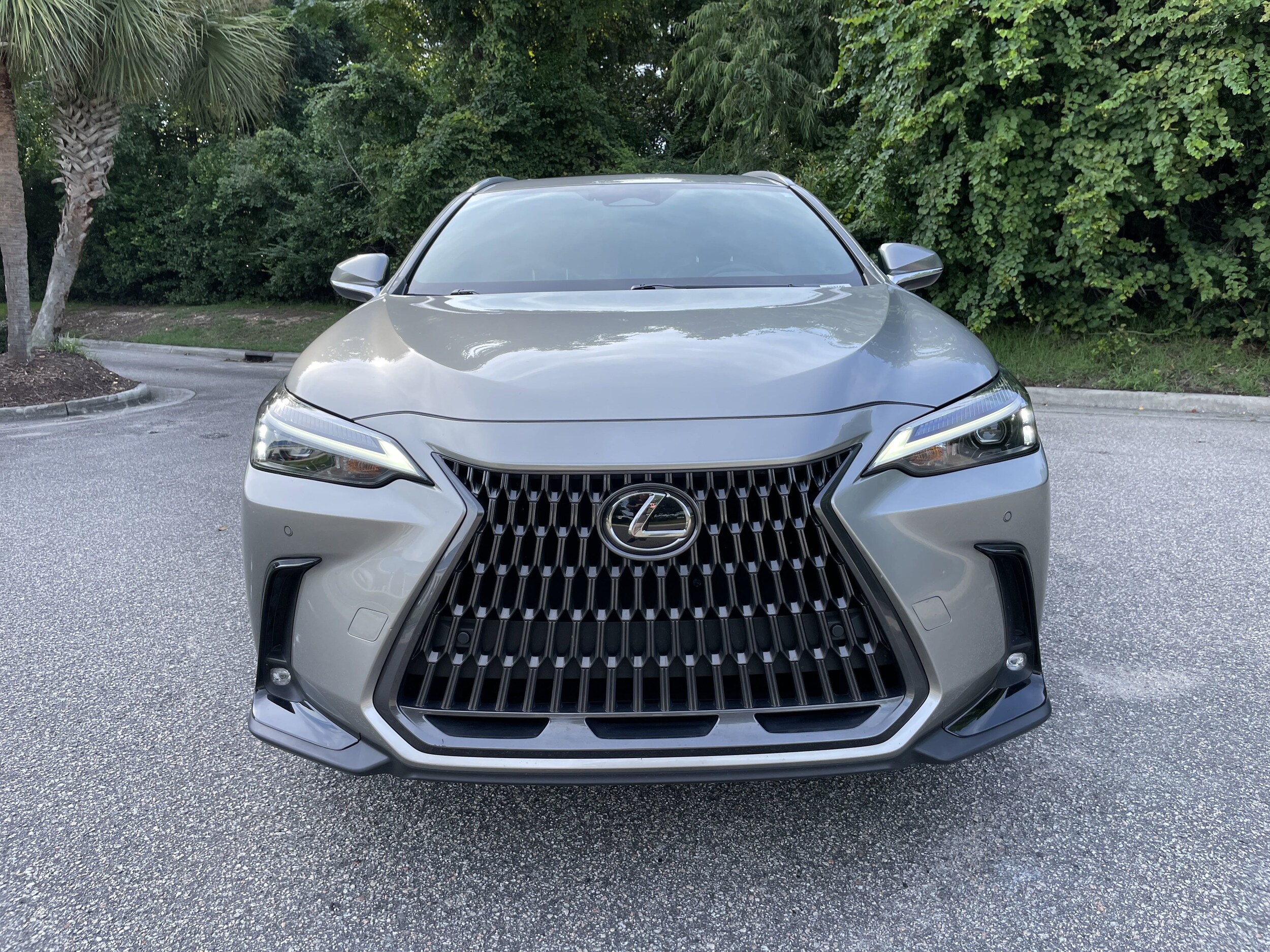 2024 Lexus NX 250 Premium photo 2