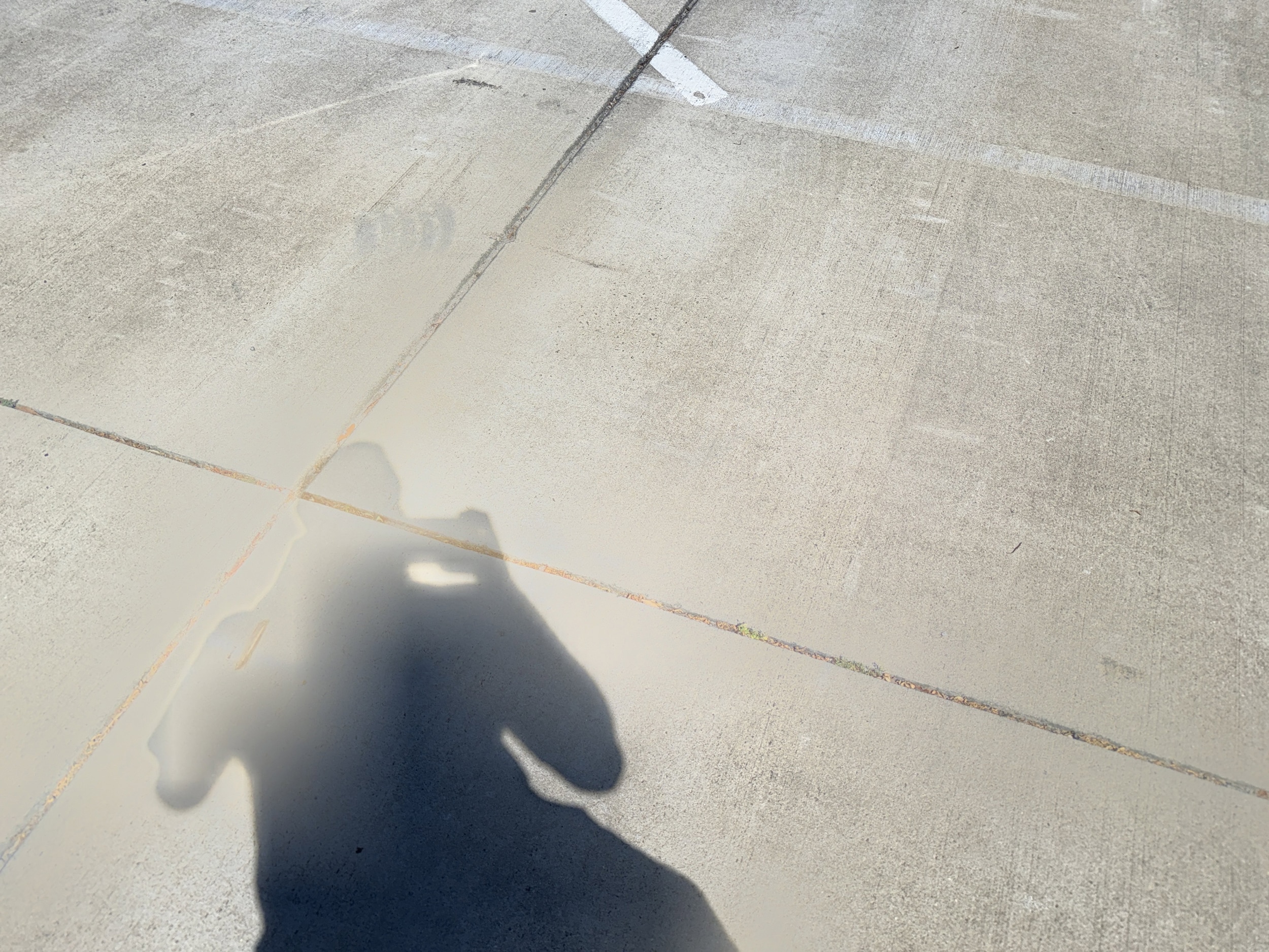 2021 Ford Expedition Max XLT photo 3