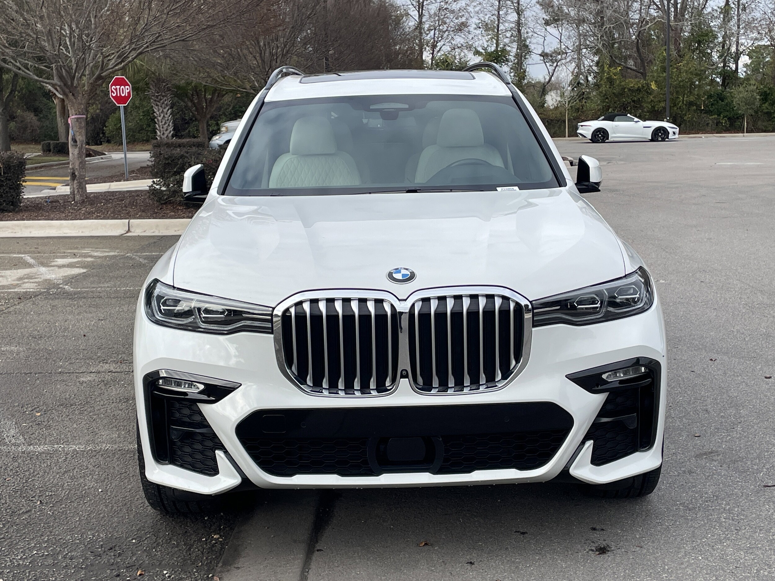 2019 Bmw X7 xDrive40i photo 3