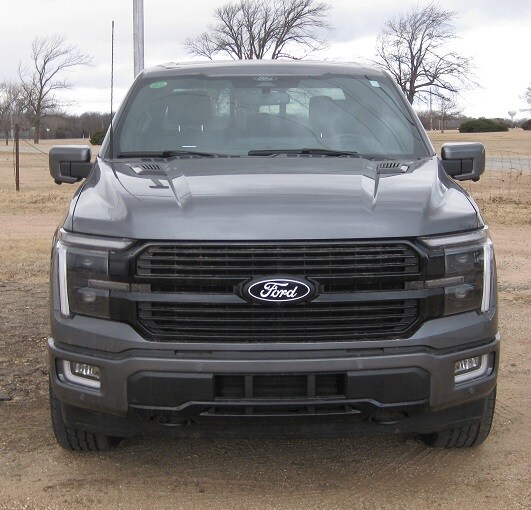2024 Ford F-150 Platinum - Photo 8
