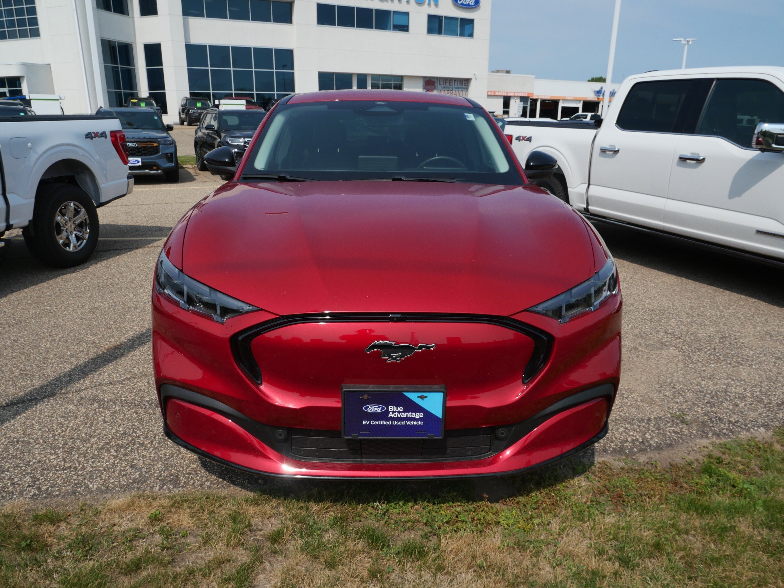 Used 2024 Ford Mustang Mach-E Premium AWD with VIN 3FMTK3S54RMA00235 for sale in New Brighton, Minnesota