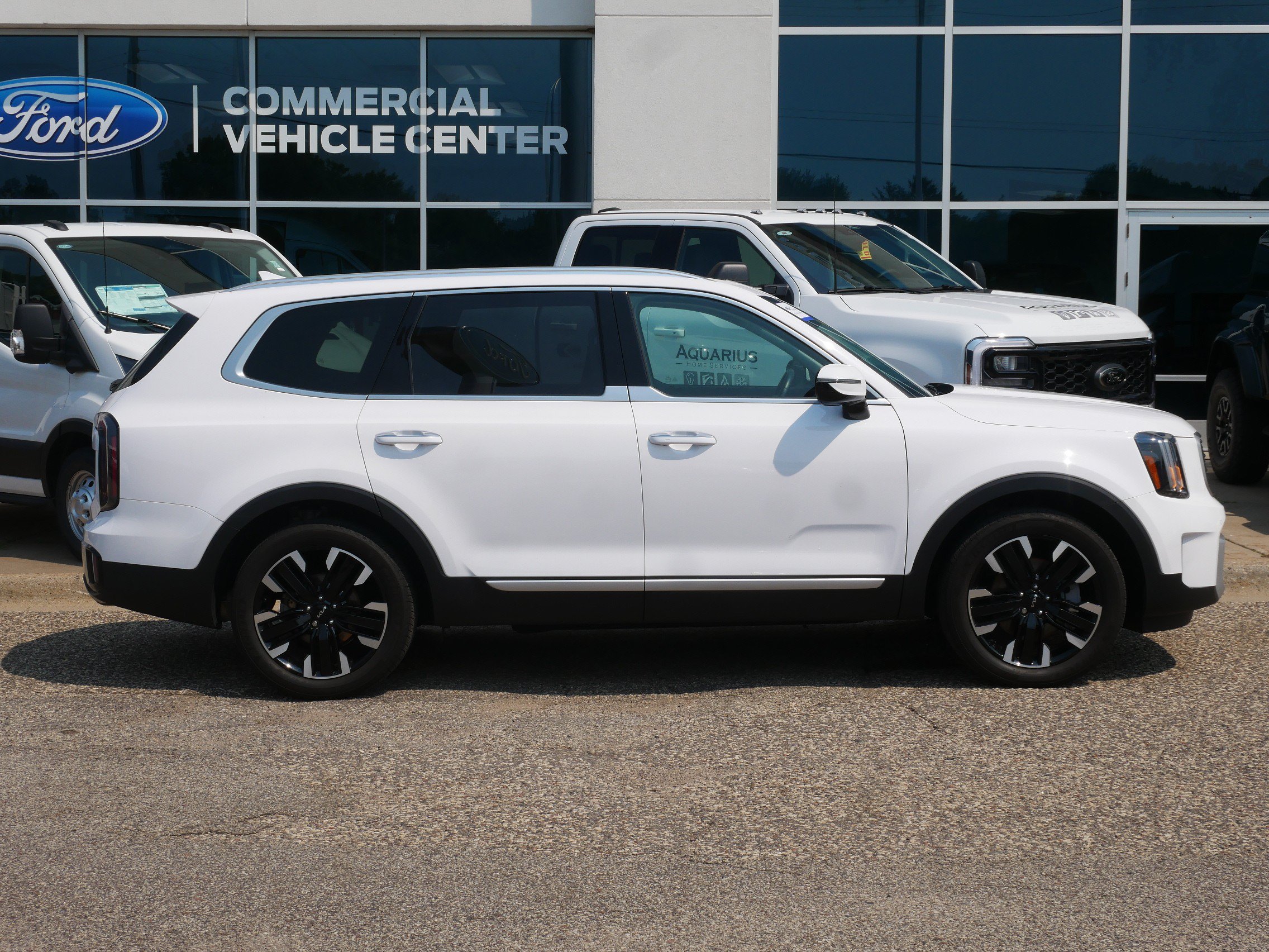 Certified 2024 Kia Telluride SX Prestige with VIN 5XYP5DGC8RG532014 for sale in New Brighton, Minnesota