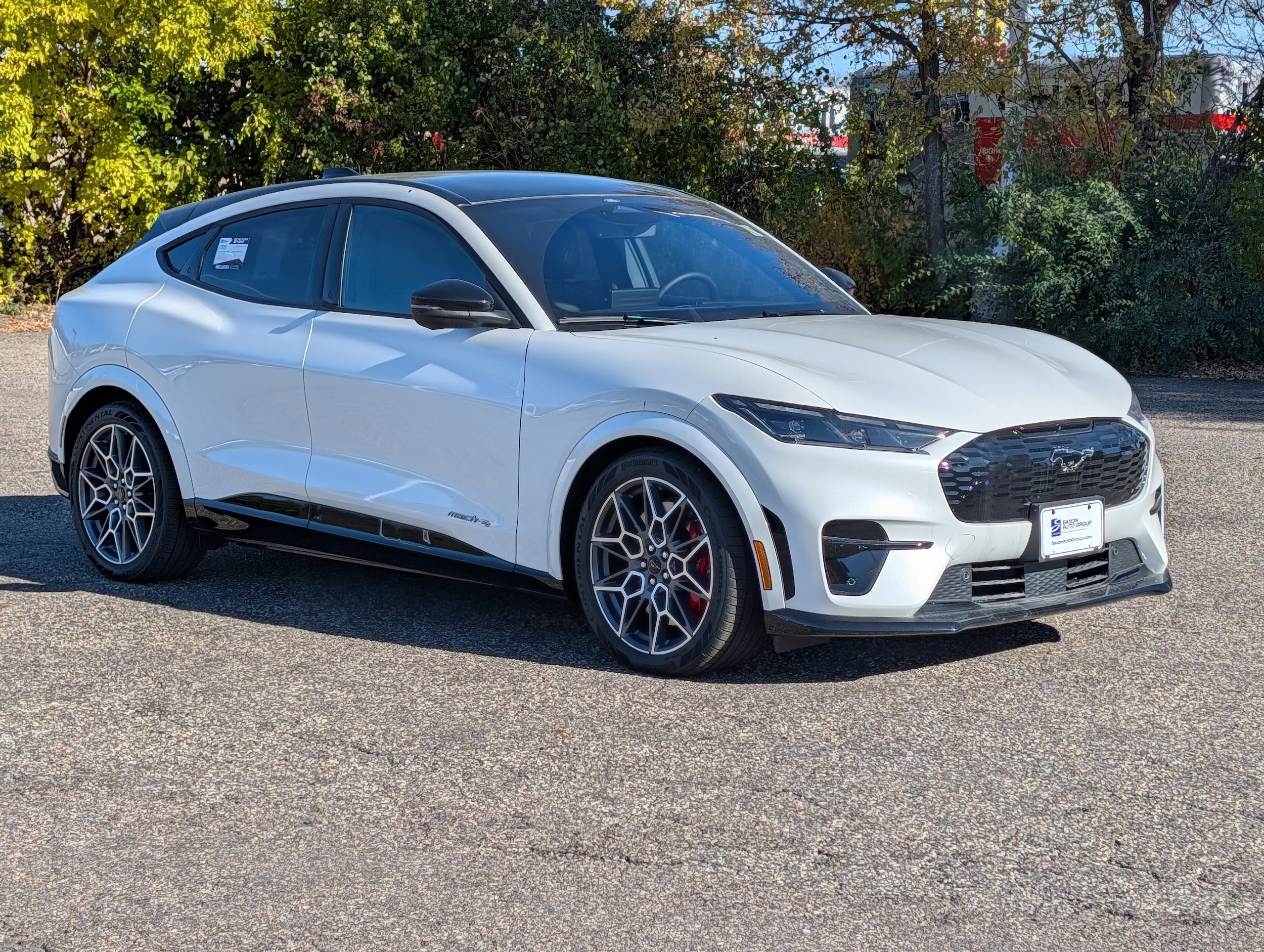 2025 Ford Mustang Mach-E GT - Photo 6