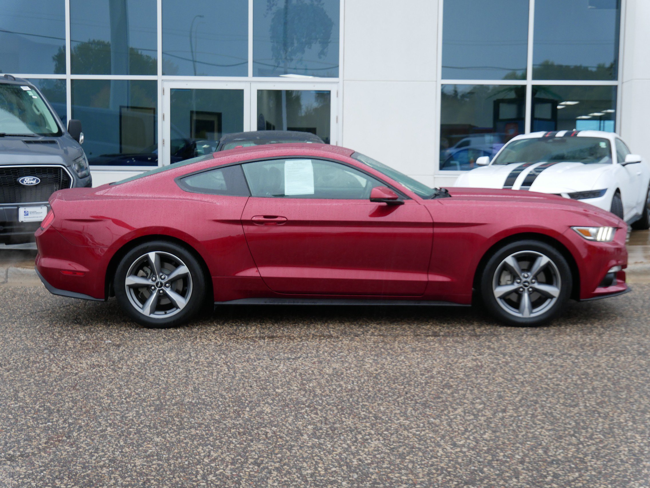 Used 2015 Ford Mustang EcoBoost Premium with VIN 1FA6P8TH8F5425599 for sale in New Brighton, Minnesota
