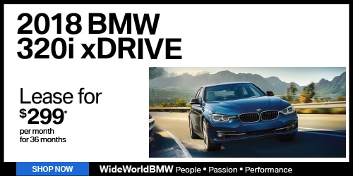 WBMW-1001-WS-500x250-1.jpg