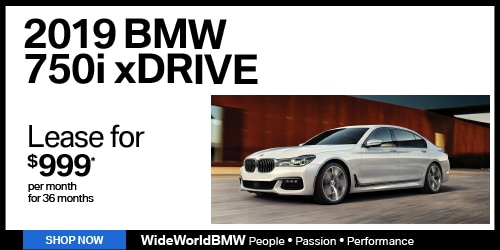 WBMW-1001-WS-500x250-9.jpg