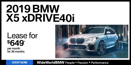 WBMW-1001-WS-500x250-13.jpg