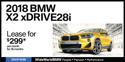 WBMW-981-WS-500x250-1.jpg