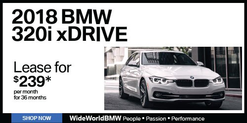 WBMW-981-WS-500x250-2.jpg