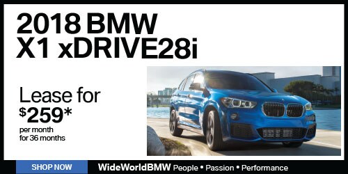 WBMW-981-WS-500x250-3.jpg