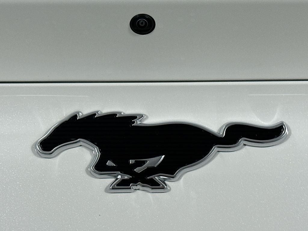 2025 Ford Mustang Mach-E Premium - Photo 23