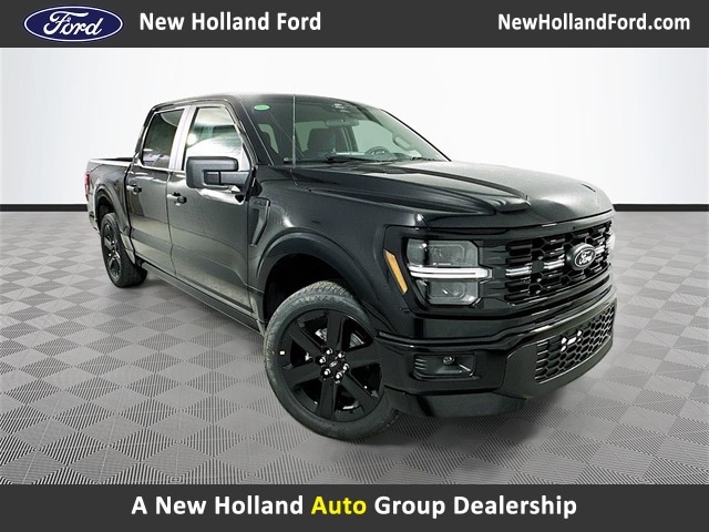 2025 Ford F-150 STX's photo