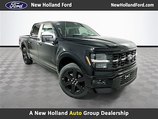 2025 Ford F-150 STX Truck