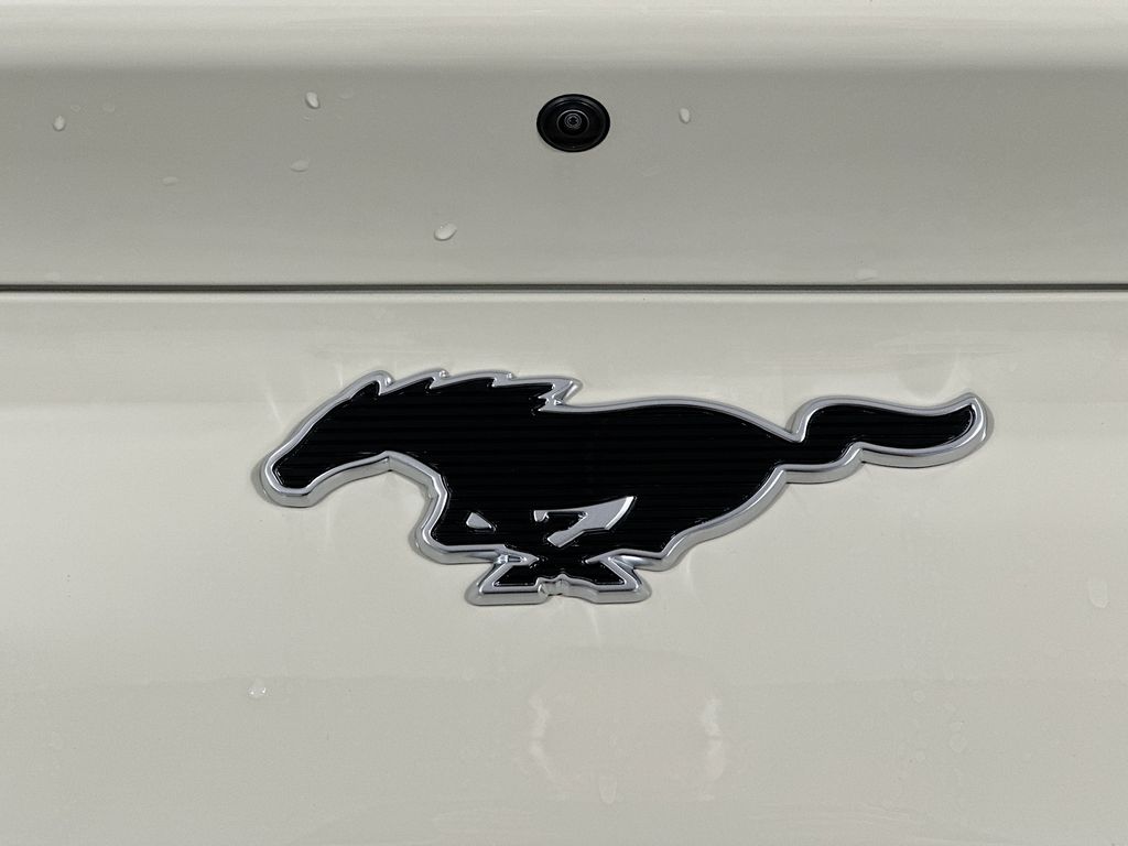 2025 Ford Mustang Mach-E Premium - Photo 23
