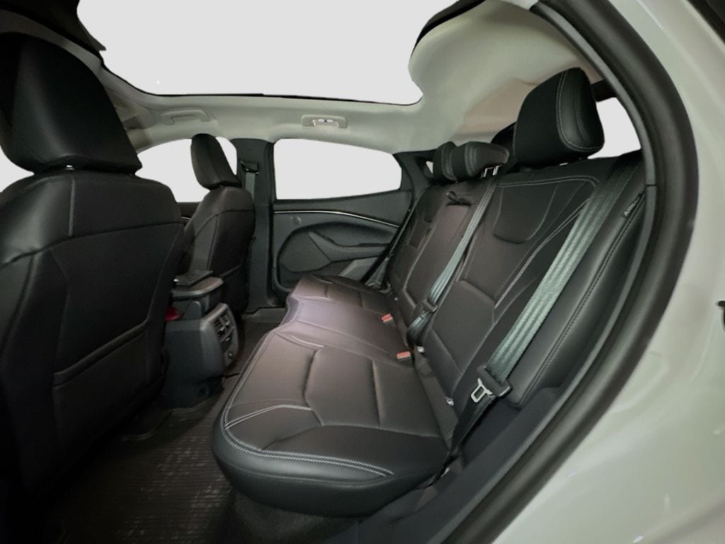 2025 Ford Mustang Mach-E Premium - Photo 19