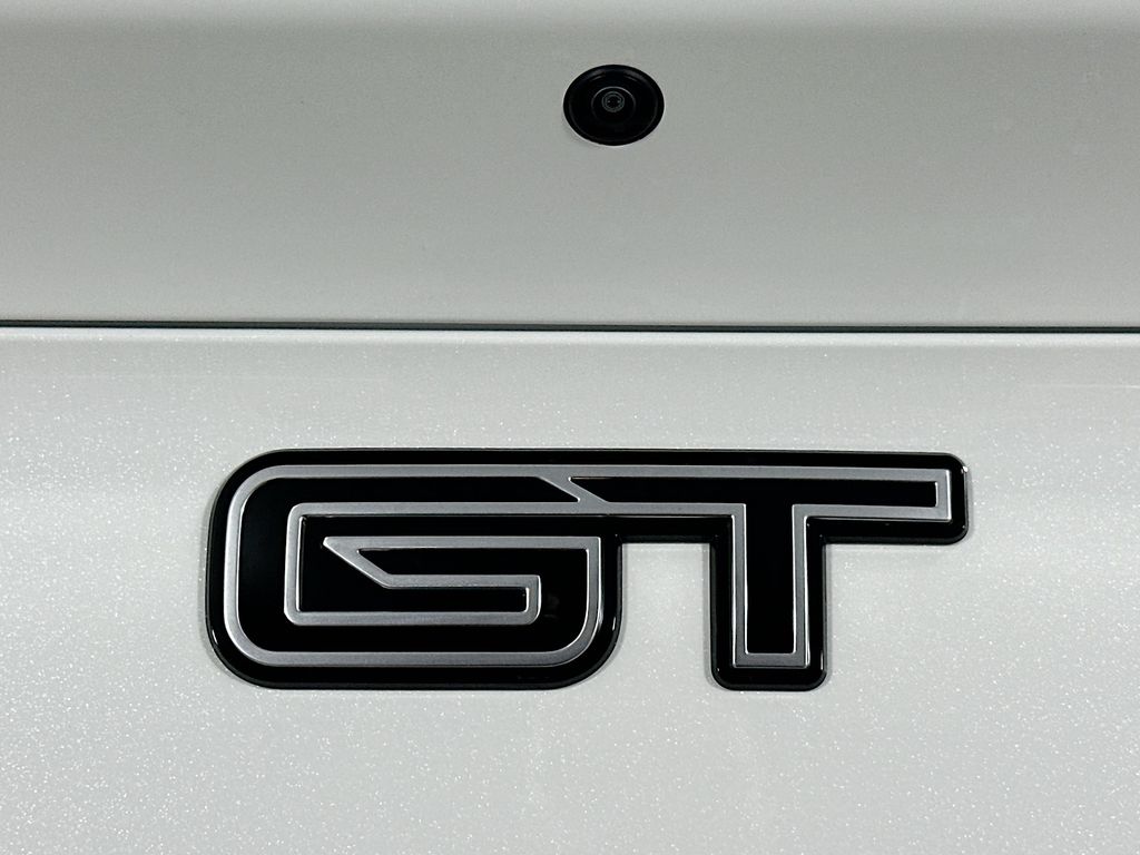 2025 Ford Mustang Mach-E GT - Photo 11