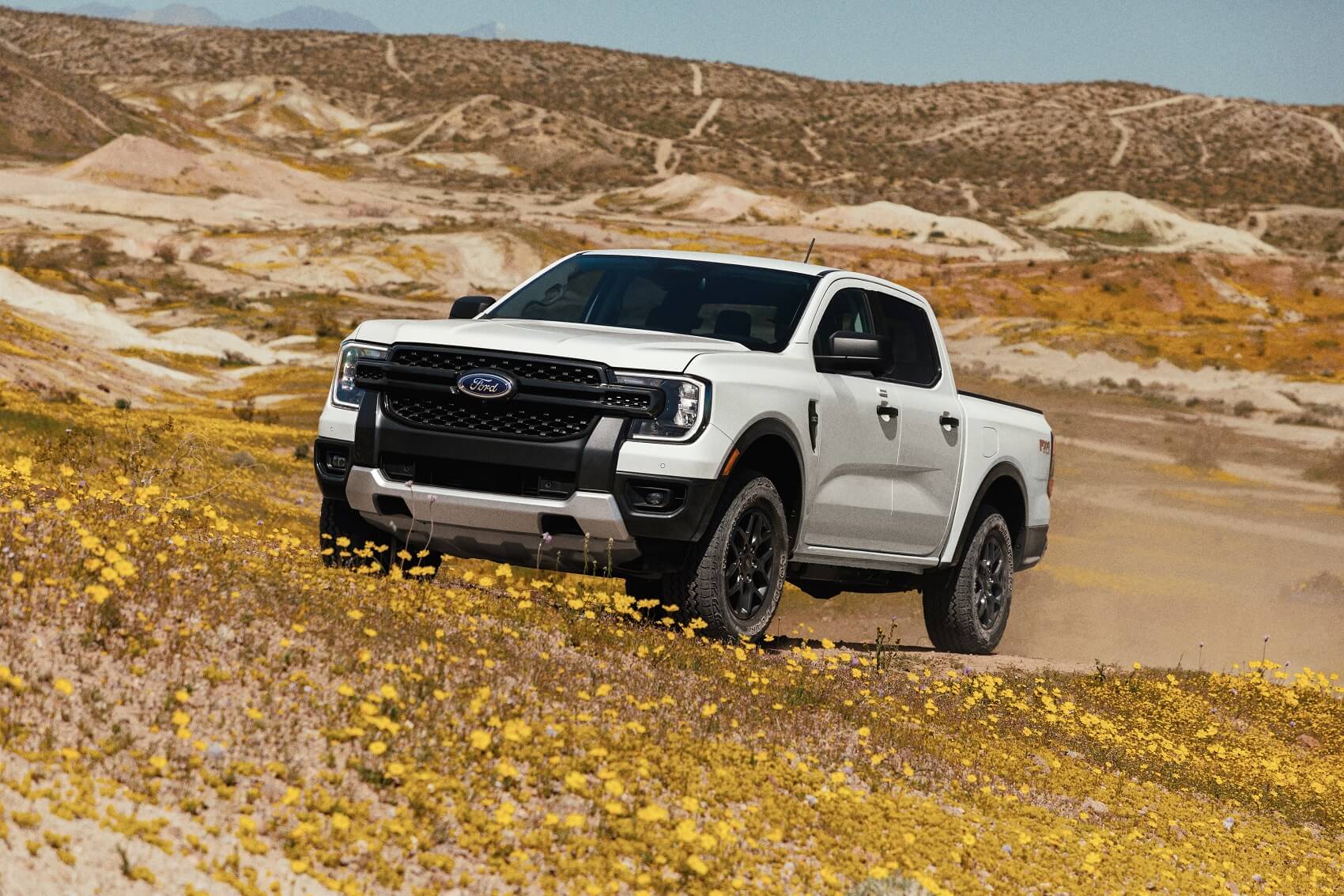 New and Used Ford Inventory