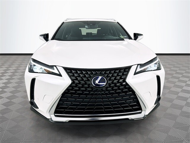 2021 Lexus UX 250h photo 2