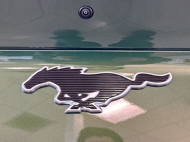 2025 Ford Mustang Mach-E Premium - Photo 19
