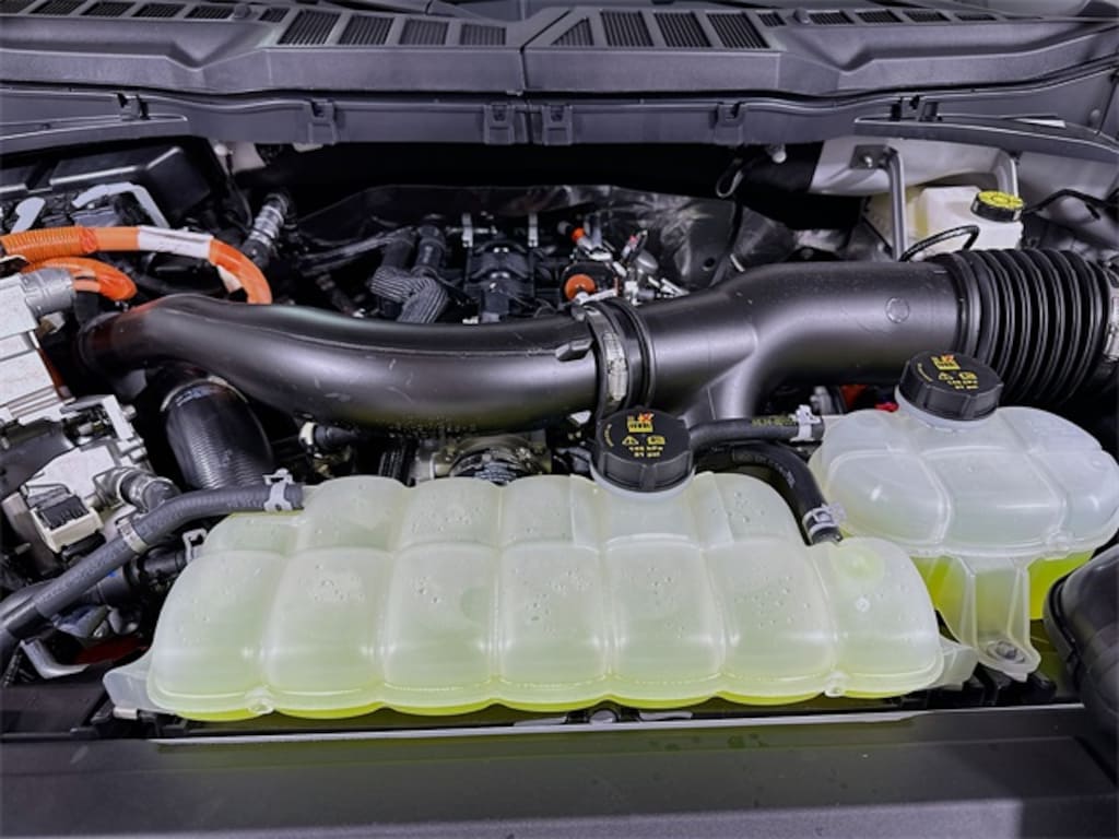 New 2025 Ford F-150 XLT Truck