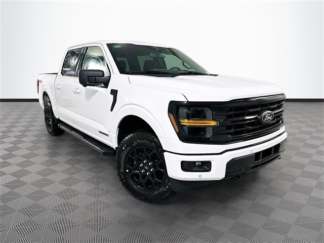 2025 Ford F-150 XLT's photo