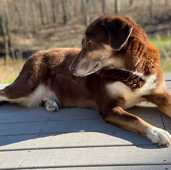 Zoey
