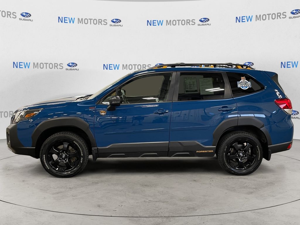 2024 Subaru Forester Wilderness Blue at Auto Express Rt. 8