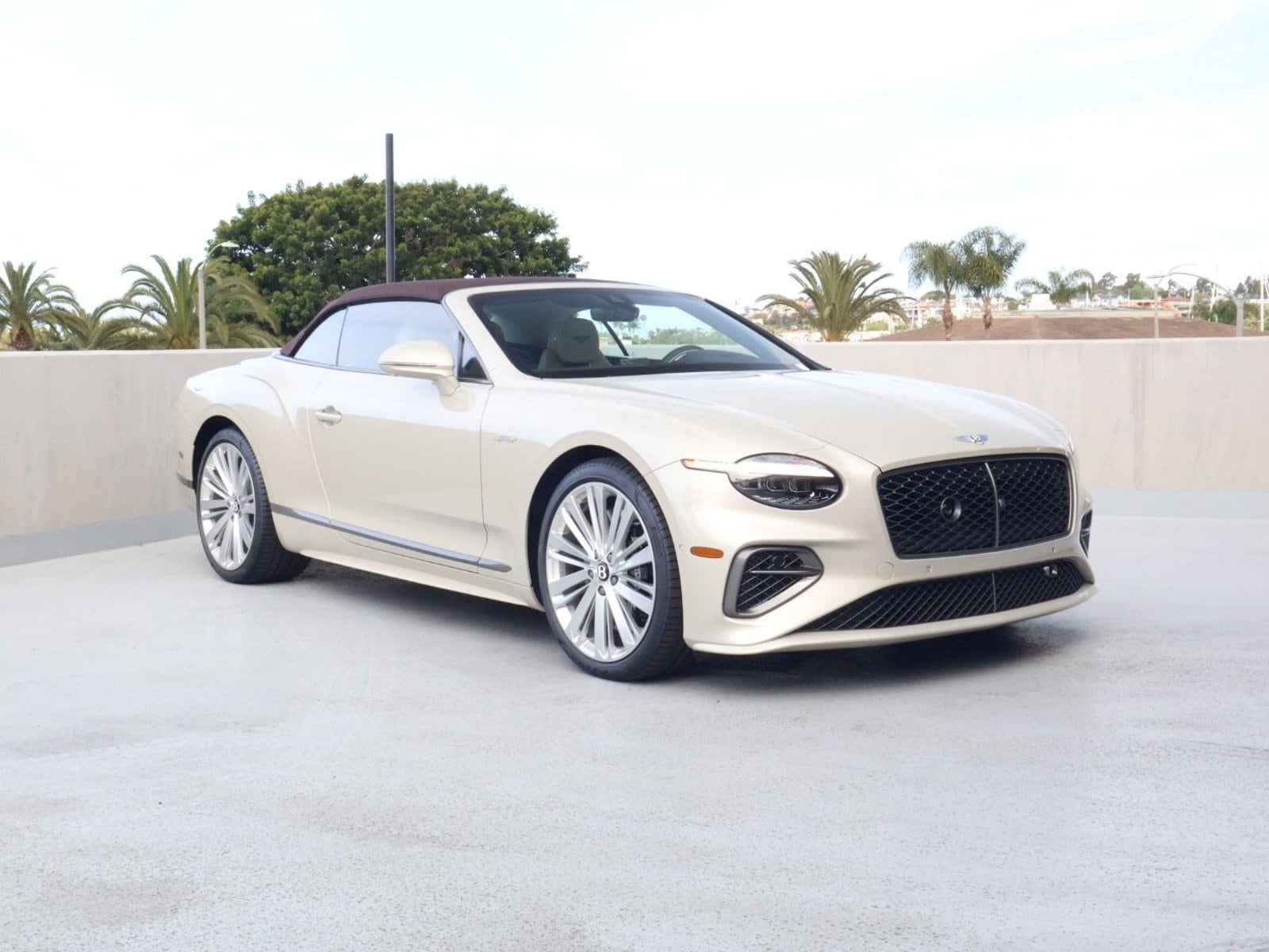 2025 Bentley Continental GT Speed's photo