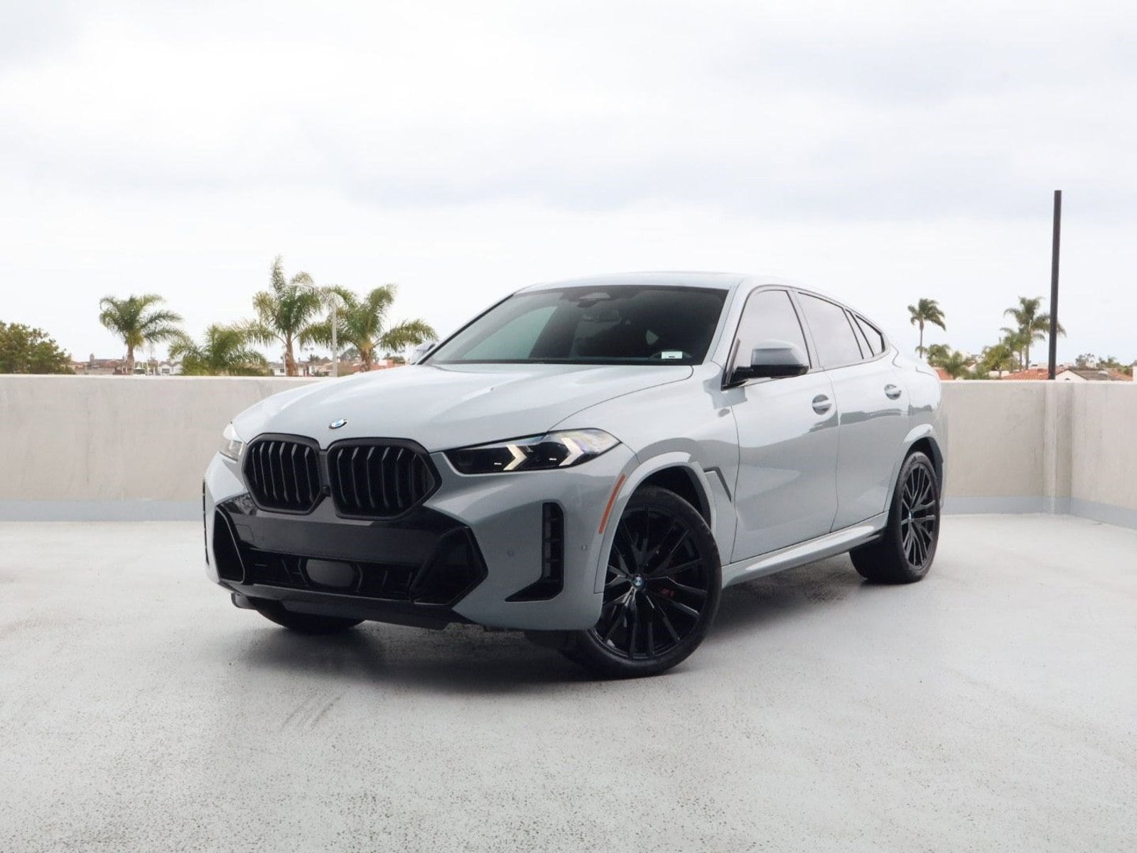 2024 BMW X6 xDrive40i's photo