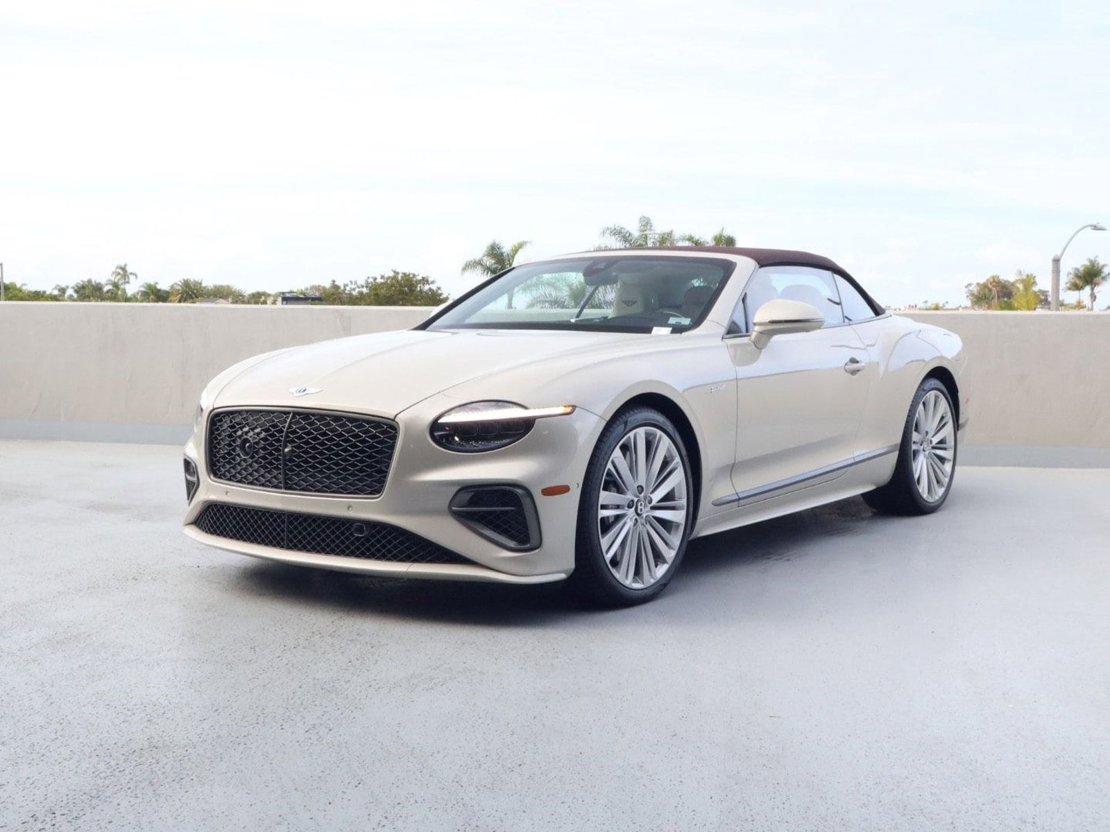 2025 Bentley Continental GTC Speed - Photo 7