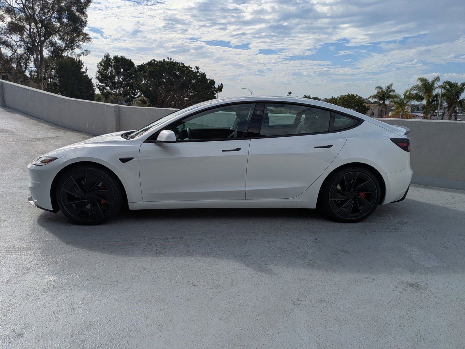2025 Tesla Model 3 Performance photo 2