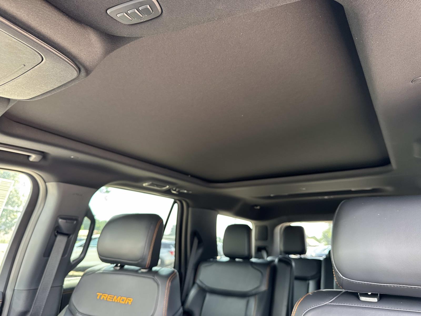 2025 Ford Expedition Tremor - Photo 9
