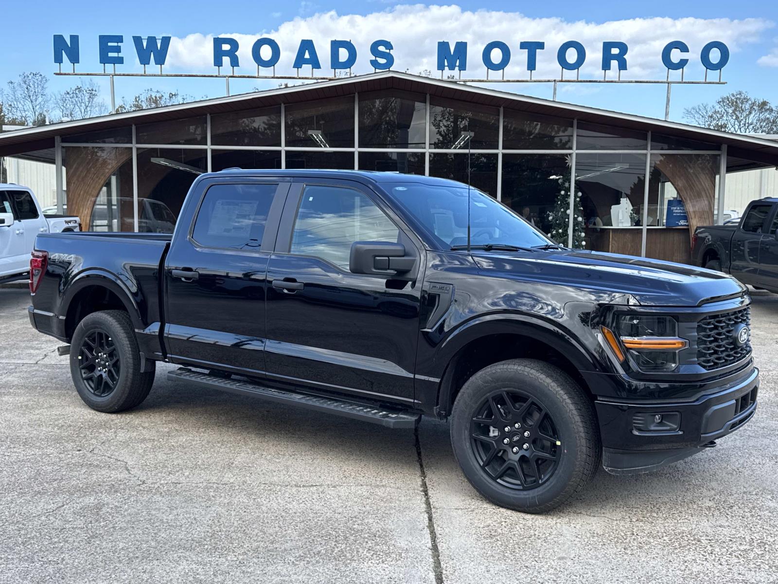 2025 Ford F-150 STX's photo