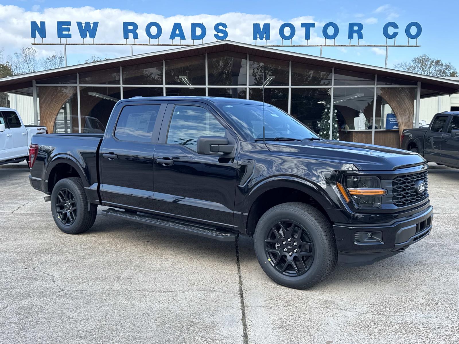 2025 Ford F-150 STX's photo