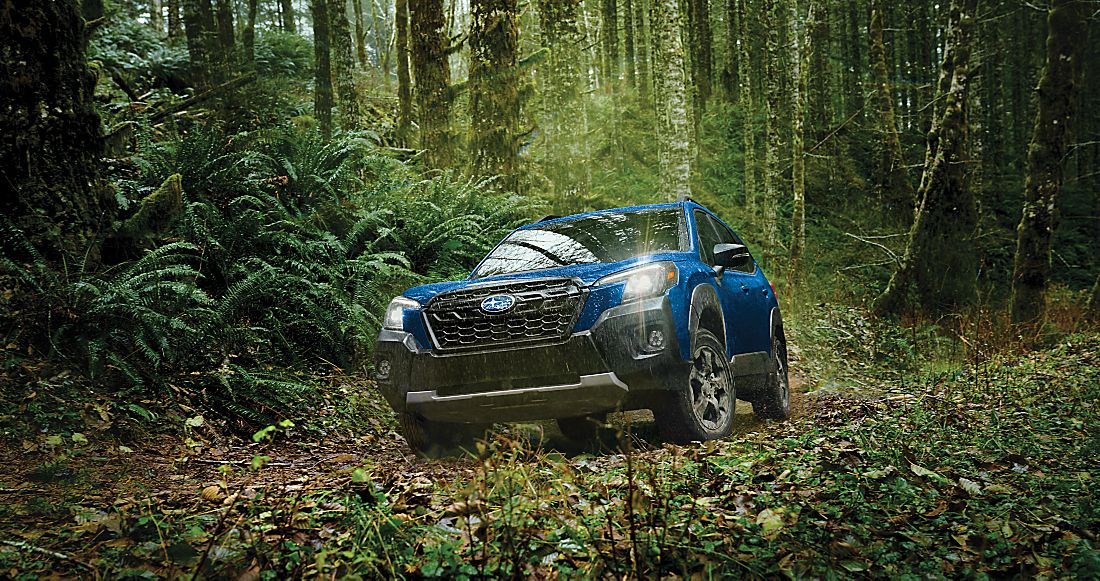 SubaruJungle.jpeg