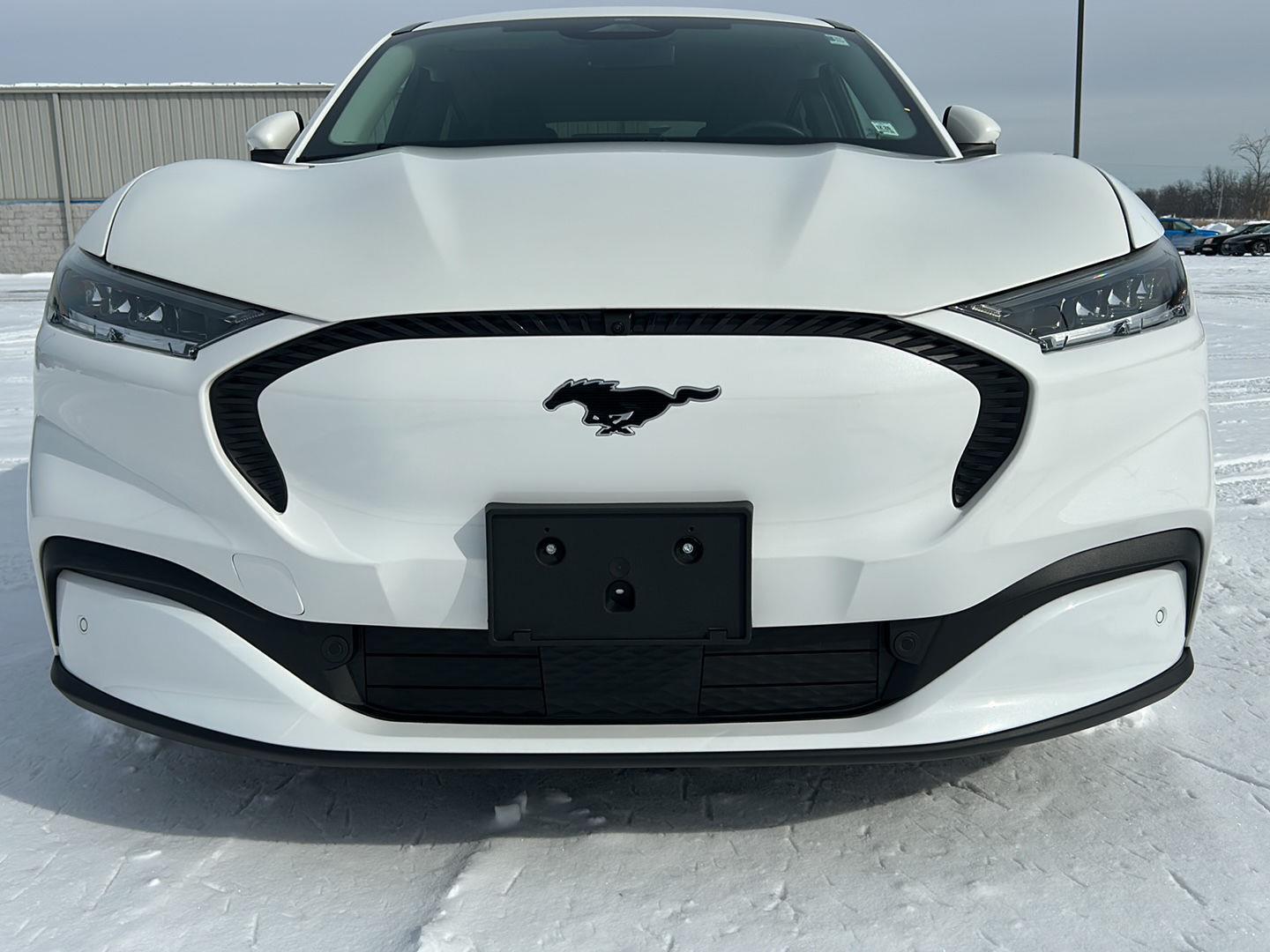 Used 2021 Ford Mustang Mach-E Select AWD with VIN 3FMTK1SS9MMA34626 for sale in Grand Island, NY